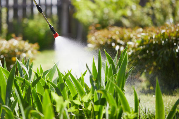 Tamper-Resistant Bait Stations for Rodents in Boles Acres