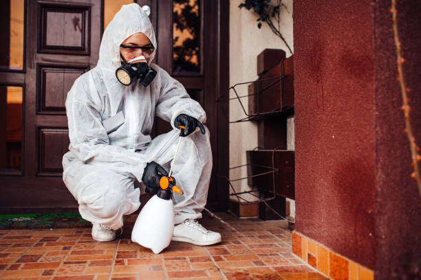 Attic and Crawl Space Rodent Treatment in Boles Acres